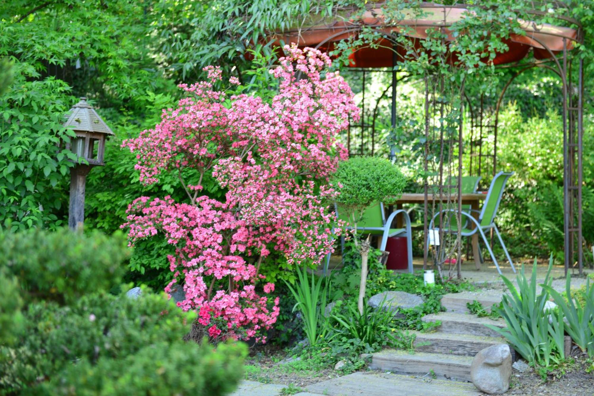 Hotel Le Jardin De La Tuilerie Pfastatt Exterior foto